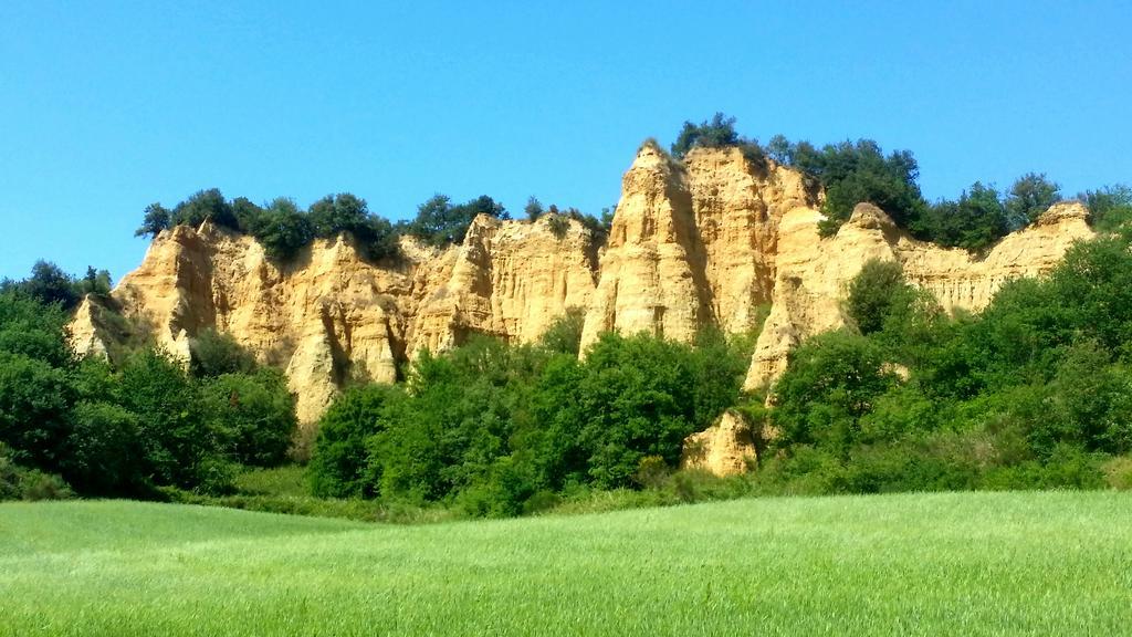 Agriturismo Antico Borgo Poggitazzi Villa โลโร ชูเฟนนา ภายนอก รูปภาพ